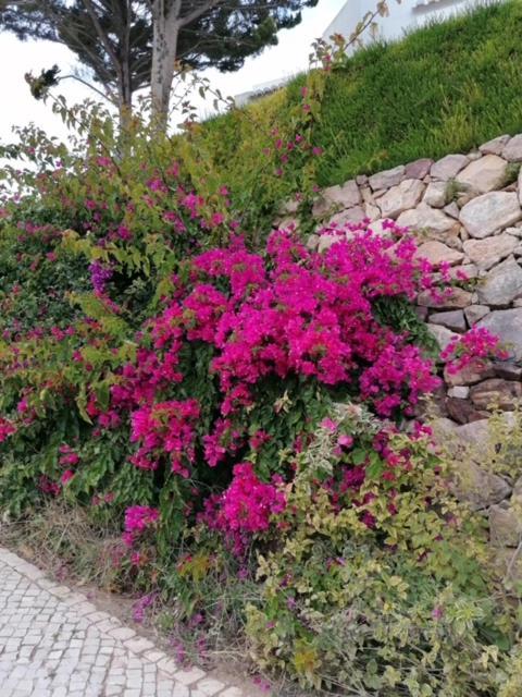 Casa Sophie Albufeira Apartment ภายนอก รูปภาพ